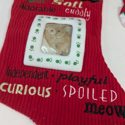 Cat Holiday Stockings