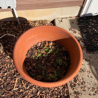 O547 Large Italian Terra Cotta Flower Pot