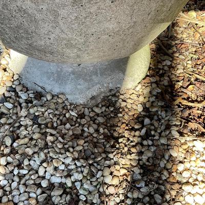 O553 Two Large Concrete Pedestal Planters with Boxwood Trees