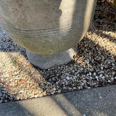 O553 Two Large Concrete Pedestal Planters with Boxwood Trees