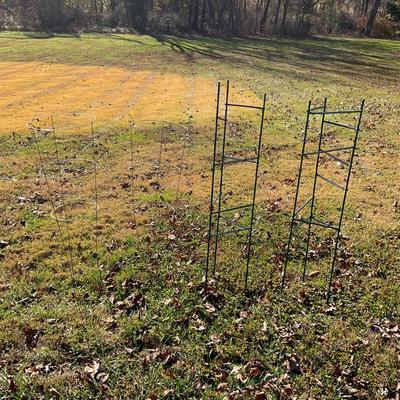 O558 Lot of Tomato Cages and Plastic Garden Trellis