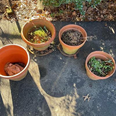 O565 Set of Terracotta pots with Plant Dolly's