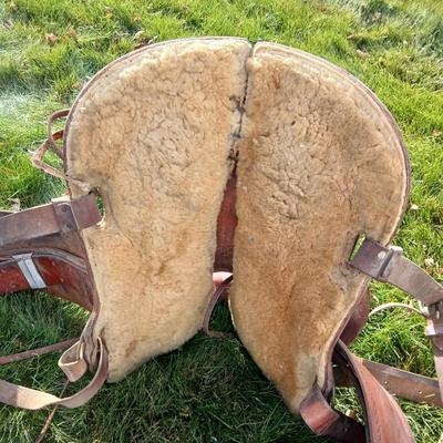 Denver Colorado saddlery Custom western saddle