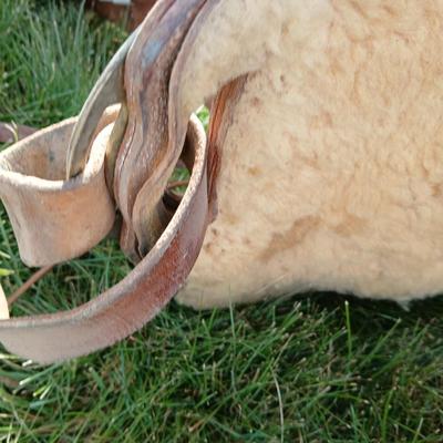 Denver Colorado saddlery Custom western saddle