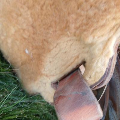 Denver Colorado saddlery Custom western saddle