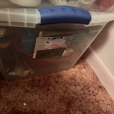 Potential Gifts Collection 7 Bins