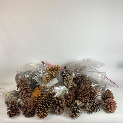 Z713 Large lot of Pinecones