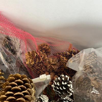 Z713 Large lot of Pinecones