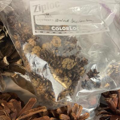 Z713 Large lot of Pinecones