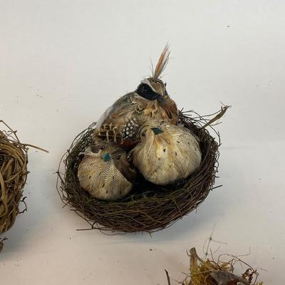 Z715 Feathered Friends Birds and Nest Lot
