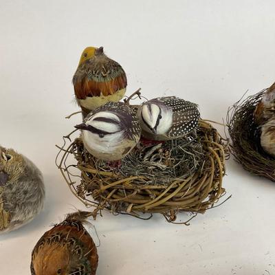 Z715 Feathered Friends Birds and Nest Lot
