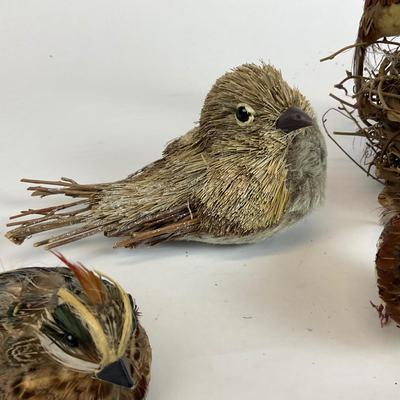Z715 Feathered Friends Birds and Nest Lot