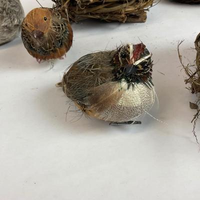 Z715 Feathered Friends Birds and Nest Lot