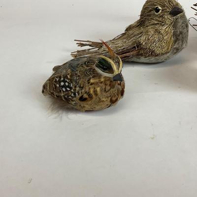 Z715 Feathered Friends Birds and Nest Lot