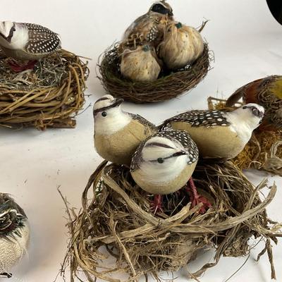 Z715 Feathered Friends Birds and Nest Lot