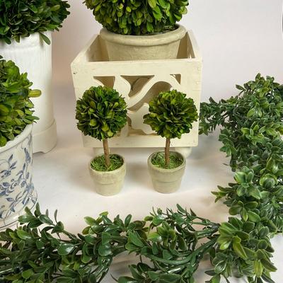 Z735 Preserved Green Boxwood Balls and Topiary Decorations