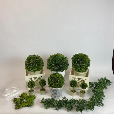 Z735 Preserved Green Boxwood Balls and Topiary Decorations