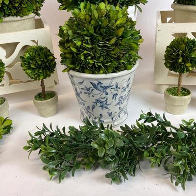 Z735 Preserved Green Boxwood Balls and Topiary Decorations