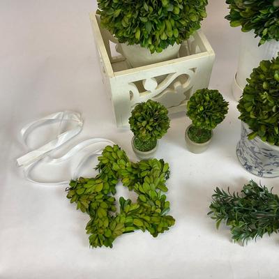 Z735 Preserved Green Boxwood Balls and Topiary Decorations