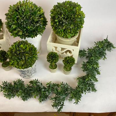 Z735 Preserved Green Boxwood Balls and Topiary Decorations