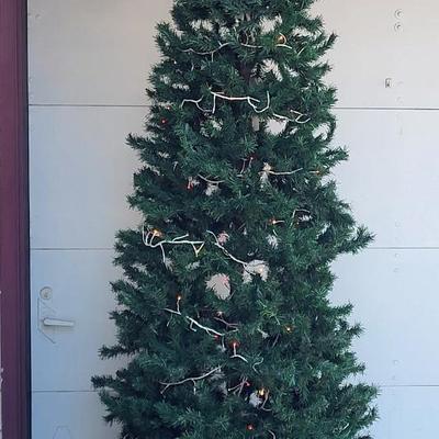 Sale Photo Thumbnail #199: Includes lights