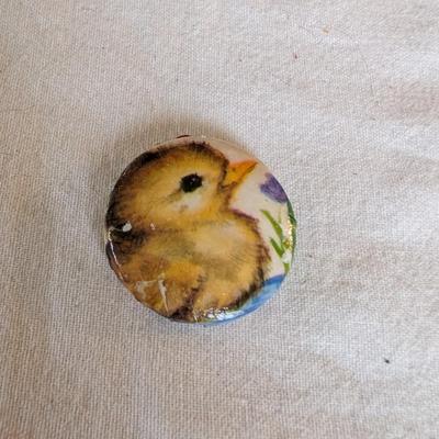 An array of fun stuff