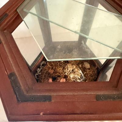 Decorative Bird Cage With Stone Base (LR-MG)