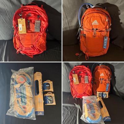 Two Gregory Hiking Backpacks & Hydration Reservoir (LR-MG)