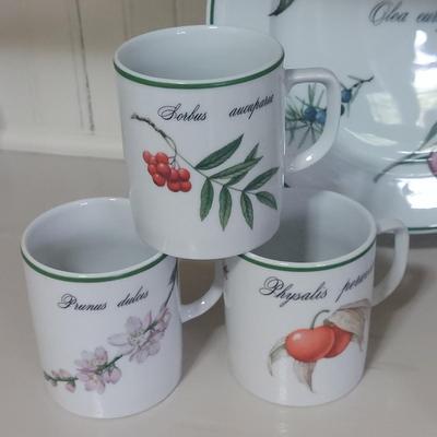 Apilco Elysian Garden Dishes (K-BBL)