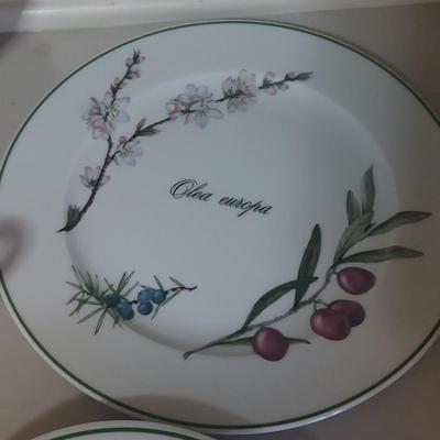 Apilco Elysian Garden Dishes (K-BBL)