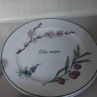 Apilco Elysian Garden Dishes (K-BBL)