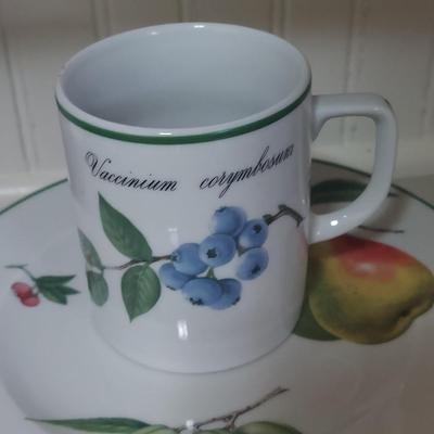 Apilco Elysian Garden Dishes (K-BBL)