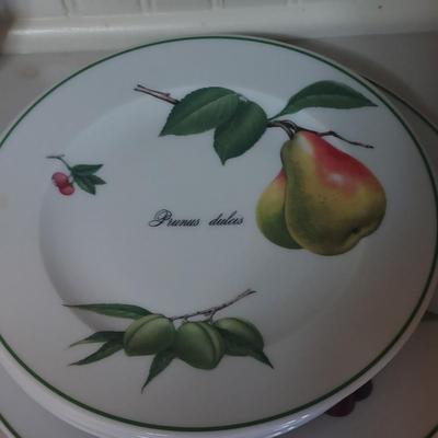 Apilco Elysian Garden Dishes (K-BBL)