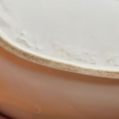 Environmental Ceramics Chicken Roasting Pan & More (K-BC)