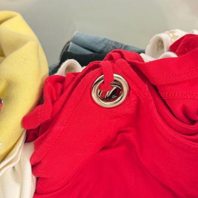 LOT 150: Tote of Women’s Clothing