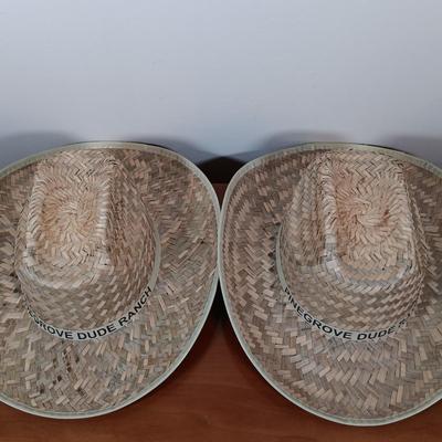 LOT 39: Felt and Straw Cowboy Hats