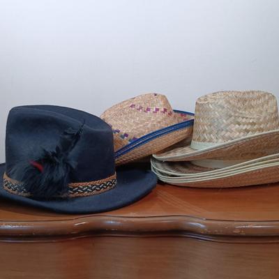 LOT 39: Felt and Straw Cowboy Hats