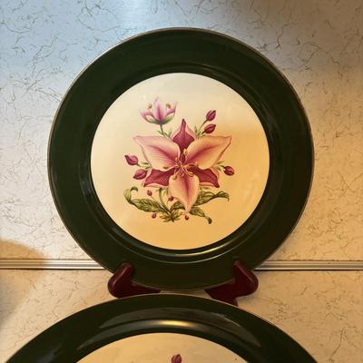 LOT 92: Vintage Taylor Smith and Taylor Appalachian Heirloom China