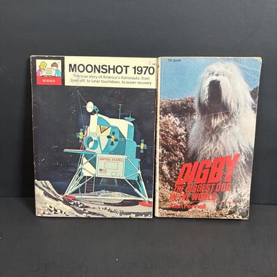 LOT 103: Vintage Souvenir Collectibles & More