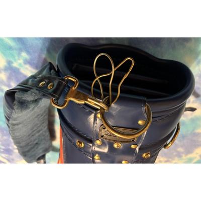 Vintage Fighting Illini Chief Illiniwek Golf Bag University Illinois Blue Orange