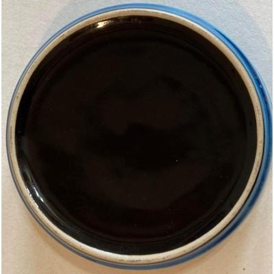 Chicago Blues Ashtray & Sears Tower Glass