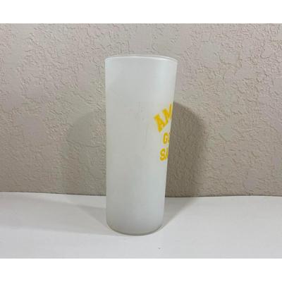 Amarillo Golden Sandies Texas High School Football Basketball Baseball Hockey