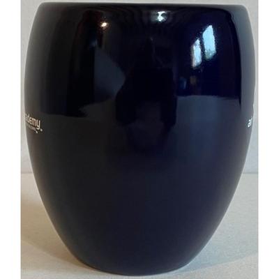 United States Air Force Academy Fightin' Falcons Mug