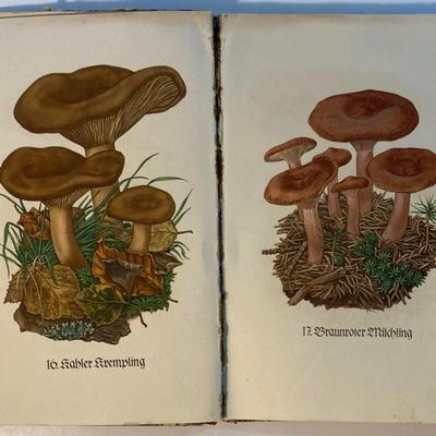 Antique Vintage German Books Kolonien, Palastina, Cologne, Rhine, Chorgesangbuch