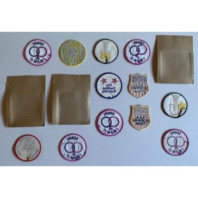 15 Vintage Sexy Patches: Sorry I Blew It / U.S.A. Screwing Team / Sex Champions