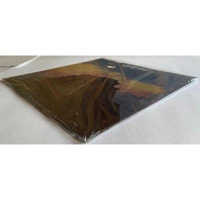 Compost Life Is Round Sealed 1973 Vinyl LP