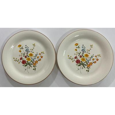 2 Meadow Bouquet Grace Stoneware 10.5" Diameter Dinner Plates Japan SY-7479