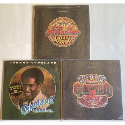 Blues Vinyl LP Albums: Blind Willie McTell, Johnny Copeland, Blues Piano Chicago