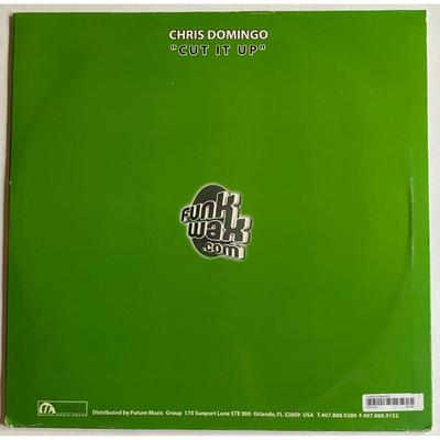 Electronic Vinyl LP Albums - Chris Domingo, Depeche Mode, Eminem, DJ Voodoo