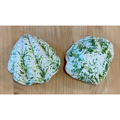 Green & White Ceramic Clam Shell Trinket / Candy / Soap / Nuts Dish Ocean Sea